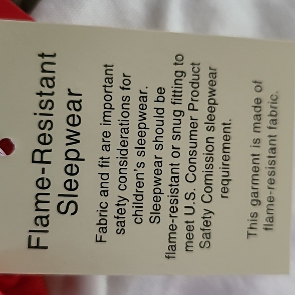 JAMMIES FOR FAMILIES BOYS 2 PIECE BLUE PLAID PAJAMA SET SIZE 12 - Picture 10 of 11